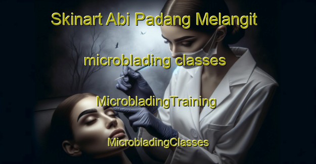 Skinart Abi Padang Melangit microblading classes | #MicrobladingTraining #MicrobladingClasses #SkinartTraining-Malaysia