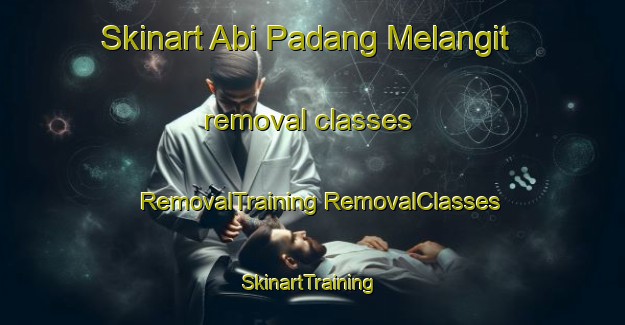 Skinart Abi Padang Melangit removal classes | #RemovalTraining #RemovalClasses #SkinartTraining-Malaysia