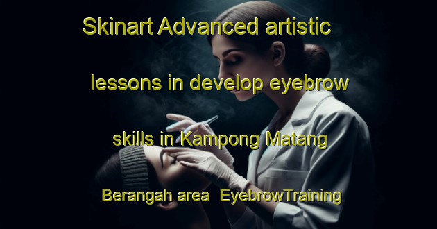 Skinart Advanced artistic lessons in develop eyebrow skills in Kampong Matang Berangah area | EyebrowTraining | EyebrowClasses | SkinartTraining-Malaysia