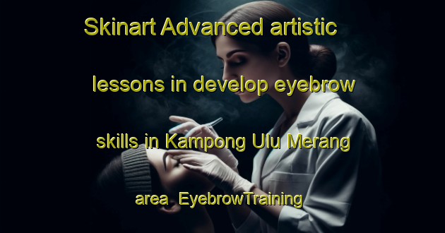 Skinart Advanced artistic lessons in develop eyebrow skills in Kampong Ulu Merang area | EyebrowTraining | EyebrowClasses | SkinartTraining-Malaysia