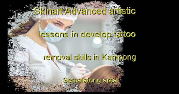 Skinart Advanced artistic lessons in develop tattoo removal skills in Kampong Semalatong area | RemovalTraining | RemovalClasses | SkinartTraining-Malaysia
