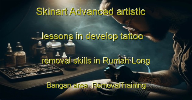 Skinart Advanced artistic lessons in develop tattoo removal skills in Rumah Long Bangan area | RemovalTraining | RemovalClasses | SkinartTraining-Malaysia
