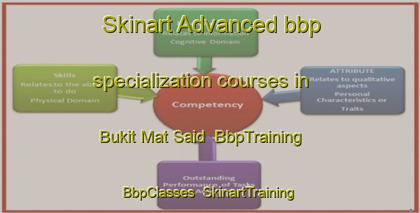 Skinart Advanced bbp specialization courses in Bukit Mat Said | BbpTraining | BbpClasses | SkinartTraining-Malaysia