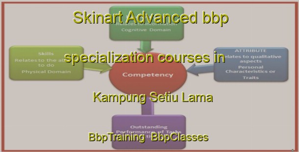 Skinart Advanced bbp specialization courses in Kampung Setiu Lama | BbpTraining | BbpClasses | SkinartTraining-Malaysia