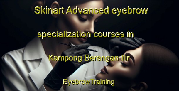 Skinart Advanced eyebrow specialization courses in Kampong Berangan Ilir | EyebrowTraining | EyebrowClasses | SkinartTraining-Malaysia