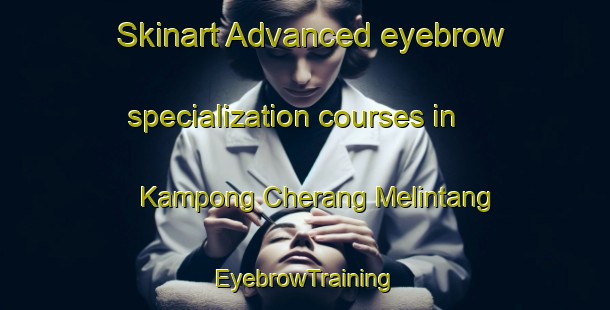 Skinart Advanced eyebrow specialization courses in Kampong Cherang Melintang | EyebrowTraining | EyebrowClasses | SkinartTraining-Malaysia