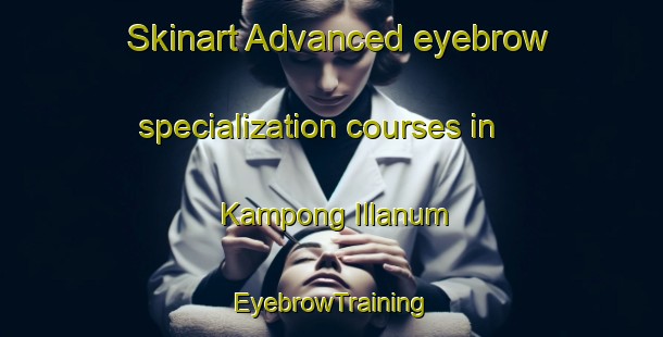 Skinart Advanced eyebrow specialization courses in Kampong Illanum | EyebrowTraining | EyebrowClasses | SkinartTraining-Malaysia
