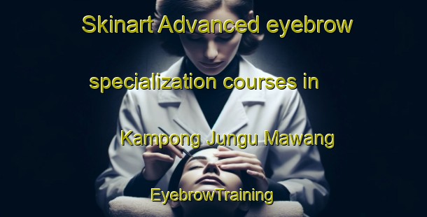 Skinart Advanced eyebrow specialization courses in Kampong Jungu Mawang | EyebrowTraining | EyebrowClasses | SkinartTraining-Malaysia