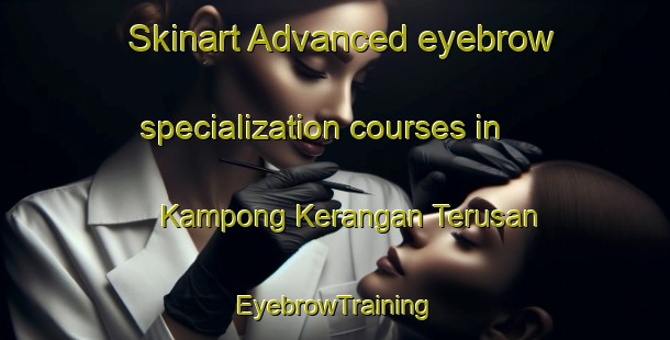 Skinart Advanced eyebrow specialization courses in Kampong Kerangan Terusan | EyebrowTraining | EyebrowClasses | SkinartTraining-Malaysia