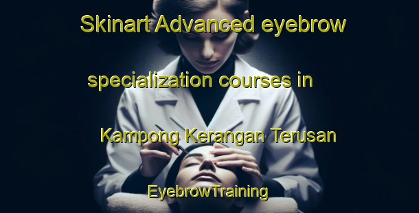 Skinart Advanced eyebrow specialization courses in Kampong Kerangan Terusan | EyebrowTraining | EyebrowClasses | SkinartTraining-Malaysia