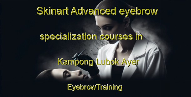 Skinart Advanced eyebrow specialization courses in Kampong Lubok Ayer | EyebrowTraining | EyebrowClasses | SkinartTraining-Malaysia