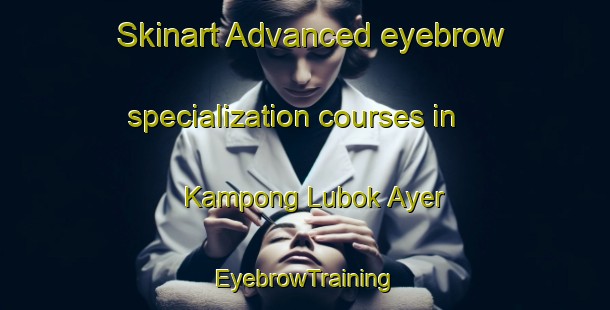 Skinart Advanced eyebrow specialization courses in Kampong Lubok Ayer | EyebrowTraining | EyebrowClasses | SkinartTraining-Malaysia