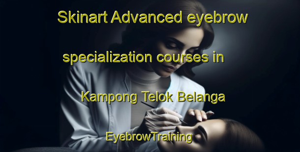 Skinart Advanced eyebrow specialization courses in Kampong Telok Belanga | EyebrowTraining | EyebrowClasses | SkinartTraining-Malaysia