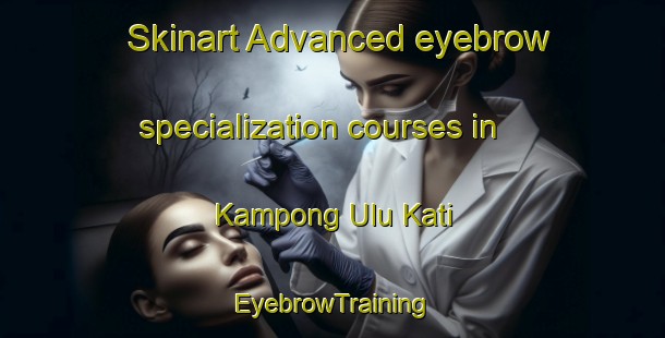 Skinart Advanced eyebrow specialization courses in Kampong Ulu Kati | EyebrowTraining | EyebrowClasses | SkinartTraining-Malaysia