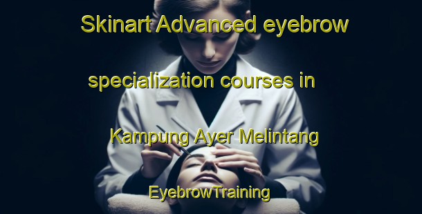 Skinart Advanced eyebrow specialization courses in Kampung Ayer Melintang | EyebrowTraining | EyebrowClasses | SkinartTraining-Malaysia