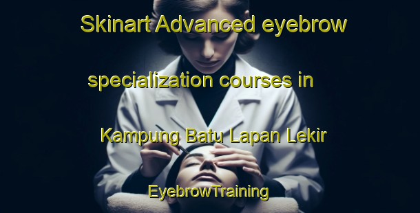 Skinart Advanced eyebrow specialization courses in Kampung Batu Lapan Lekir | EyebrowTraining | EyebrowClasses | SkinartTraining-Malaysia