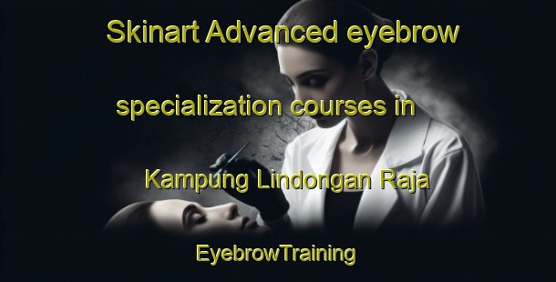 Skinart Advanced eyebrow specialization courses in Kampung Lindongan Raja | EyebrowTraining | EyebrowClasses | SkinartTraining-Malaysia