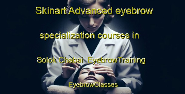 Skinart Advanced eyebrow specialization courses in Solok Chabai | EyebrowTraining | EyebrowClasses | SkinartTraining-Malaysia