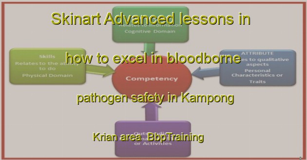 Skinart Advanced lessons in how to excel in bloodborne pathogen safety in Kampong Krian area | BbpTraining | BbpClasses | SkinartTraining-Malaysia