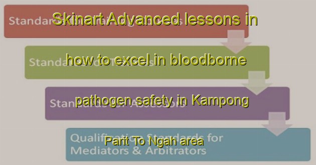 Skinart Advanced lessons in how to excel in bloodborne pathogen safety in Kampong Parit To Ngah area | BbpTraining | BbpClasses | SkinartTraining-Malaysia