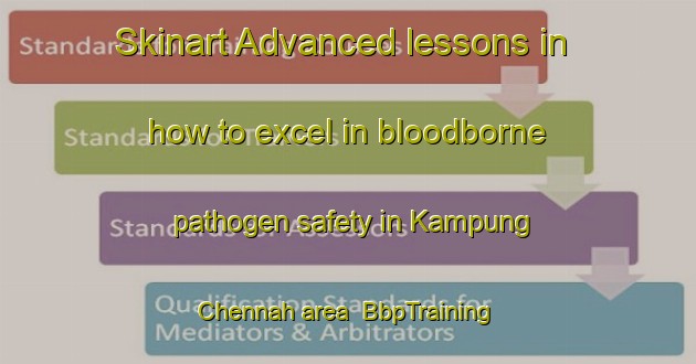 Skinart Advanced lessons in how to excel in bloodborne pathogen safety in Kampung Chennah area | BbpTraining | BbpClasses | SkinartTraining-Malaysia