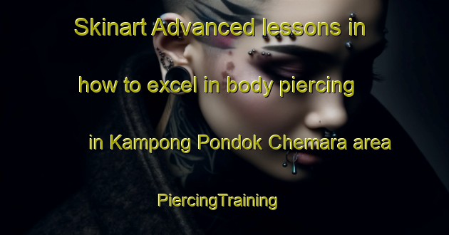 Skinart Advanced lessons in how to excel in body piercing in Kampong Pondok Chemara area | PiercingTraining | PiercingClasses | SkinartTraining-Malaysia
