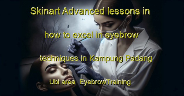 Skinart Advanced lessons in how to excel in eyebrow techniques in Kampung Padang Ubi area | EyebrowTraining | EyebrowClasses | SkinartTraining-Malaysia