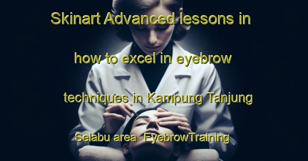 Skinart Advanced lessons in how to excel in eyebrow techniques in Kampung Tanjung Selabu area | EyebrowTraining | EyebrowClasses | SkinartTraining-Malaysia