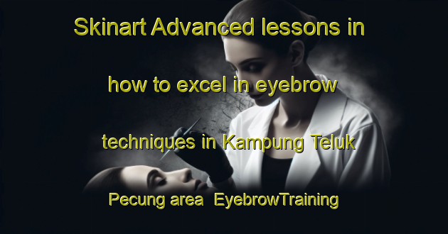Skinart Advanced lessons in how to excel in eyebrow techniques in Kampung Teluk Pecung area | EyebrowTraining | EyebrowClasses | SkinartTraining-Malaysia