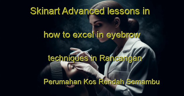 Skinart Advanced lessons in how to excel in eyebrow techniques in Rancangan Perumahan Kos Rendah Semambu area | EyebrowTraining | EyebrowClasses | SkinartTraining-Malaysia