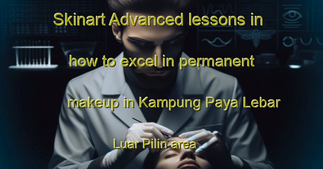 Skinart Advanced lessons in how to excel in permanent makeup in Kampung Paya Lebar Luar Pilin area | PermanentmakeupTraining | PermanentmakeupClasses | SkinartTraining-Malaysia