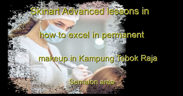 Skinart Advanced lessons in how to excel in permanent makeup in Kampung Tebok Raja Semalon area | PermanentmakeupTraining | PermanentmakeupClasses | SkinartTraining-Malaysia