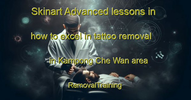 Skinart Advanced lessons in how to excel in tattoo removal in Kampong Che Wan area | RemovalTraining | RemovalClasses | SkinartTraining-Malaysia