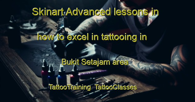 Skinart Advanced lessons in how to excel in tattooing in Bukit Setajam area | TattooTraining | TattooClasses | SkinartTraining-Malaysia