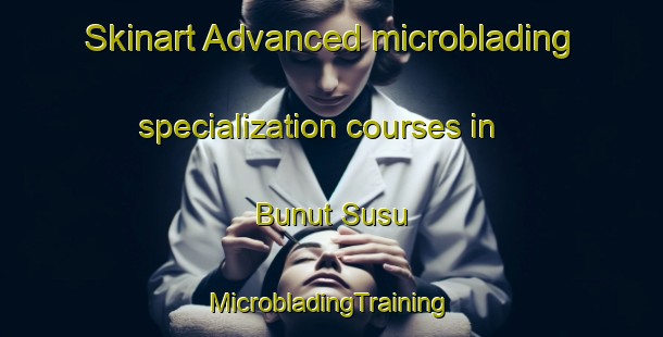 Skinart Advanced microblading specialization courses in Bunut Susu | #MicrobladingTraining #MicrobladingClasses #SkinartTraining-Malaysia