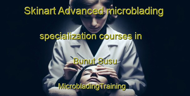 Skinart Advanced microblading specialization courses in Bunut Susu | MicrobladingTraining | MicrobladingClasses | SkinartTraining-Malaysia