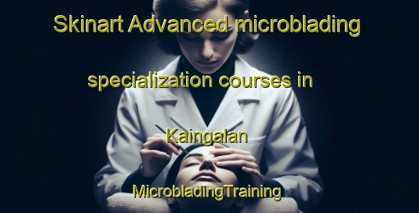 Skinart Advanced microblading specialization courses in Kaingalan | #MicrobladingTraining #MicrobladingClasses #SkinartTraining-Malaysia