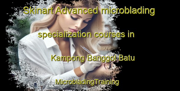 Skinart Advanced microblading specialization courses in Kampong Banggol Batu | MicrobladingTraining | MicrobladingClasses | SkinartTraining-Malaysia