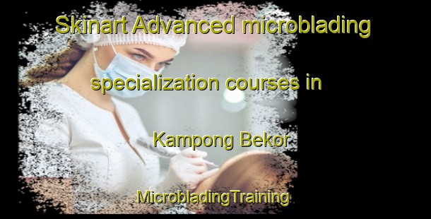 Skinart Advanced microblading specialization courses in Kampong Bekor | #MicrobladingTraining #MicrobladingClasses #SkinartTraining-Malaysia