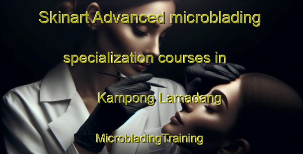 Skinart Advanced microblading specialization courses in Kampong Lamadang | #MicrobladingTraining #MicrobladingClasses #SkinartTraining-Malaysia