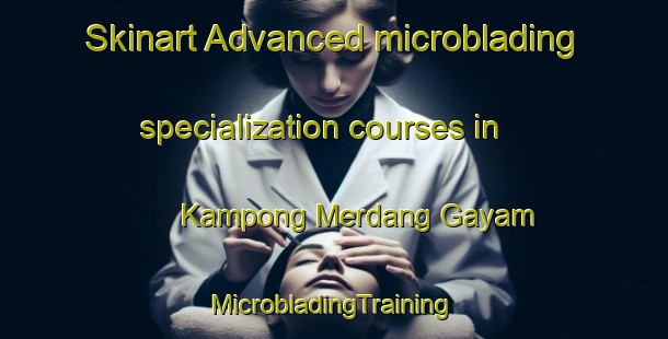 Skinart Advanced microblading specialization courses in Kampong Merdang Gayam | #MicrobladingTraining #MicrobladingClasses #SkinartTraining-Malaysia