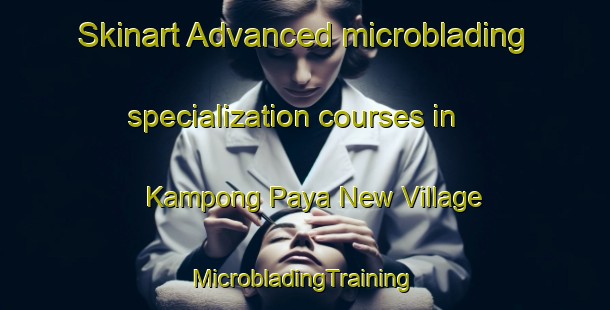 Skinart Advanced microblading specialization courses in Kampong Paya New Village | #MicrobladingTraining #MicrobladingClasses #SkinartTraining-Malaysia