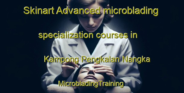 Skinart Advanced microblading specialization courses in Kampong Pengkalan Nangka | #MicrobladingTraining #MicrobladingClasses #SkinartTraining-Malaysia