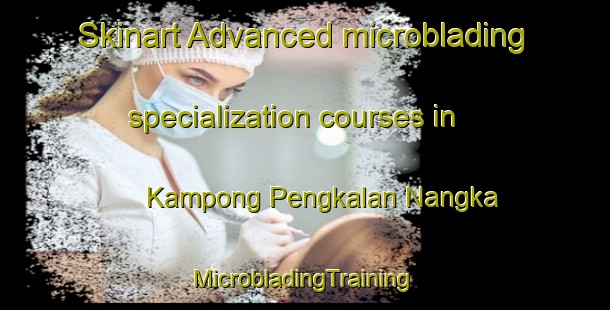 Skinart Advanced microblading specialization courses in Kampong Pengkalan Nangka | #MicrobladingTraining #MicrobladingClasses #SkinartTraining-Malaysia