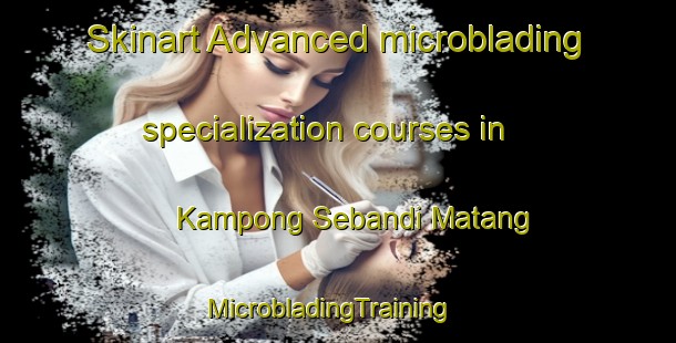 Skinart Advanced microblading specialization courses in Kampong Sebandi Matang | MicrobladingTraining | MicrobladingClasses | SkinartTraining-Malaysia
