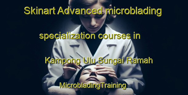 Skinart Advanced microblading specialization courses in Kampong Ulu Sungai Ramah | #MicrobladingTraining #MicrobladingClasses #SkinartTraining-Malaysia