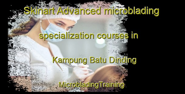 Skinart Advanced microblading specialization courses in Kampung Batu Dinding | #MicrobladingTraining #MicrobladingClasses #SkinartTraining-Malaysia