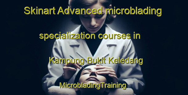 Skinart Advanced microblading specialization courses in Kampung Bukit Keledang | #MicrobladingTraining #MicrobladingClasses #SkinartTraining-Malaysia