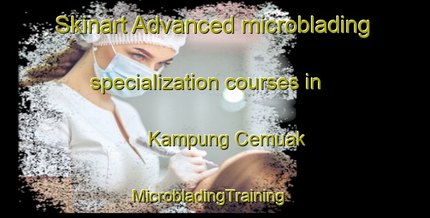 Skinart Advanced microblading specialization courses in Kampung Cemuak | MicrobladingTraining | MicrobladingClasses | SkinartTraining-Malaysia