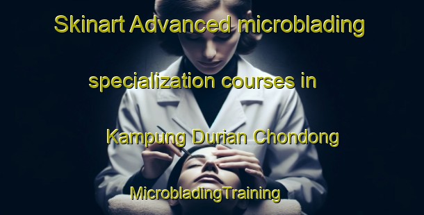 Skinart Advanced microblading specialization courses in Kampung Durian Chondong | MicrobladingTraining | MicrobladingClasses | SkinartTraining-Malaysia